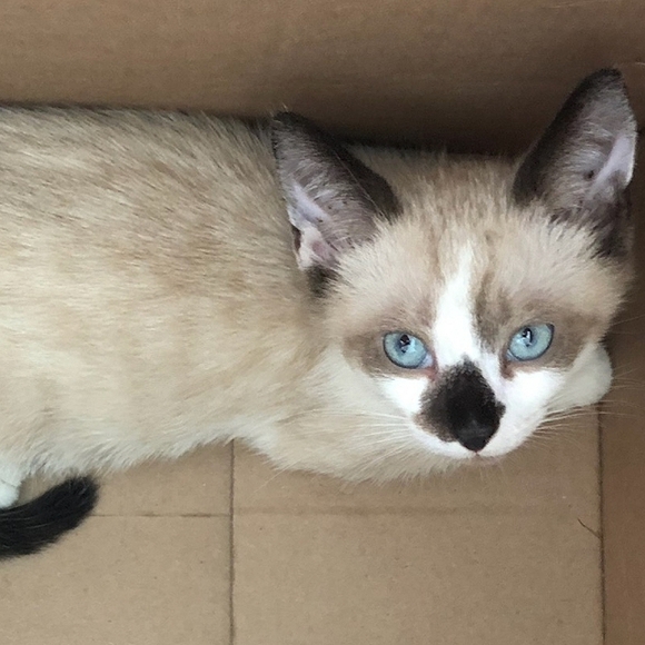 💕❤️JEWELRY Buy 2, Get 1 FREE❤️💕 - Picture 11 of 16